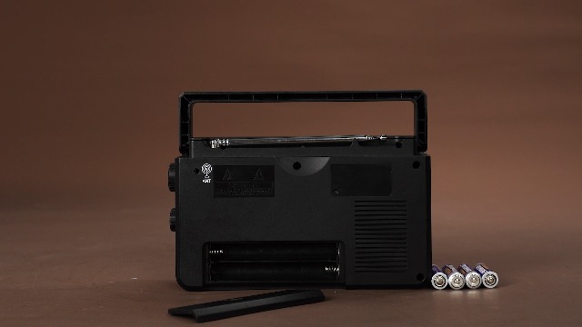 Amazon.com: Retekess TR638 Portable Radios AM FM,Digital Shortwave